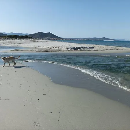 Apartmán Ruja House Santa Lucia (Sardinia)